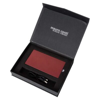 baterie-externa-personalizata-5000mah-dubla-incarcare-gandrela-albastru