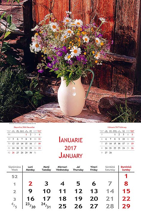 CALENDAR DE PERETE PERSONALIZAT CU FLORI - imagine 5