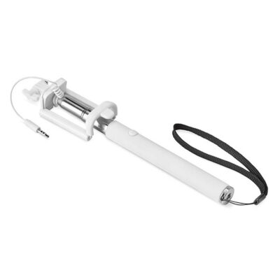 selfie-stick-photo-alb