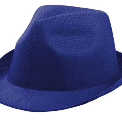 palarie-unisex-cool-albastru