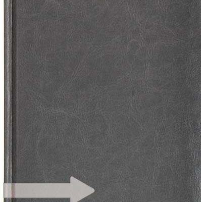 agenda-personalizata-notes-illinois-a4