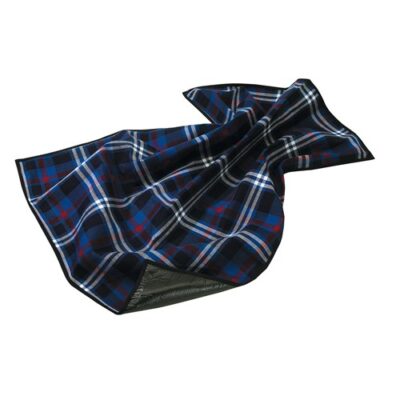 patura-picnic-kansas-albastru